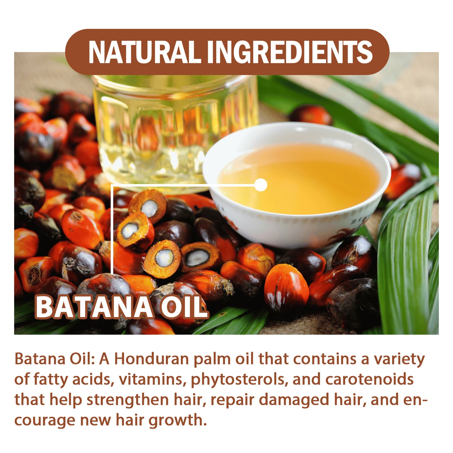 USA ONLY: EELHOE Batana Oil Conditioner Moisturizes, Repairs, Strengthens Hair Roots, Prevents Supple, Dense Hair, And Solidifies And Fluffy Hair