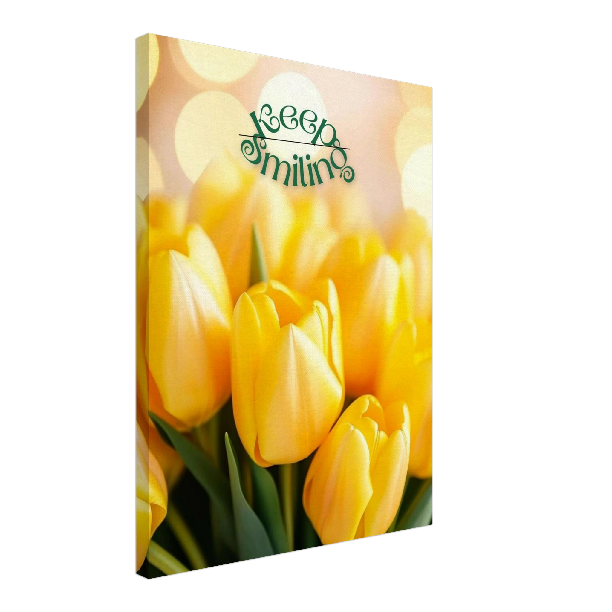 0c1de8e6-aa86-46fe-8dd3-9644186f995f