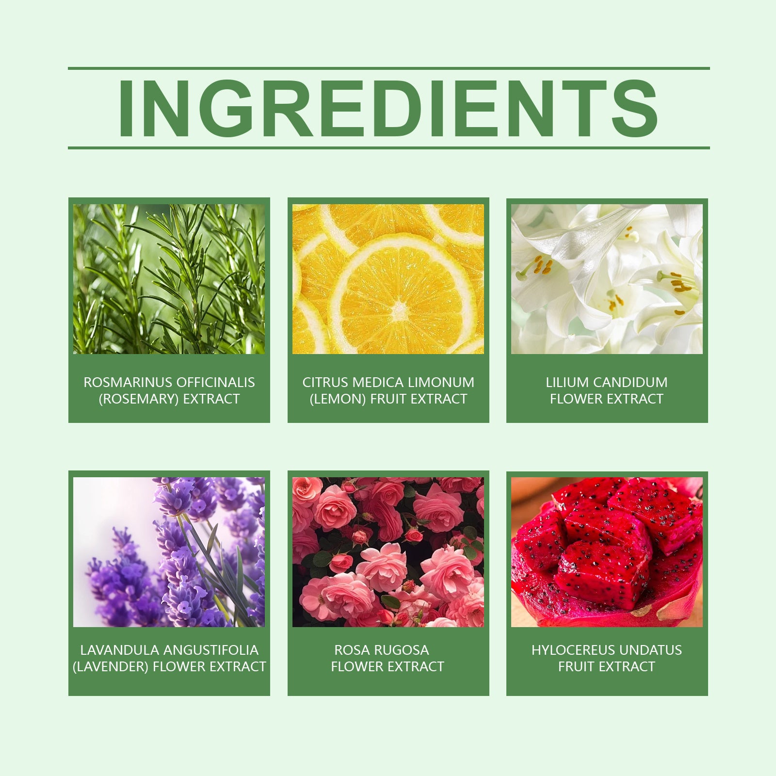 USA ONLY: OceAura Fragrant Shower Ball, Plant-Scented Shower Ball Cleans And Moisturizes The Body With A Colorful And Fragrant Shower Ball