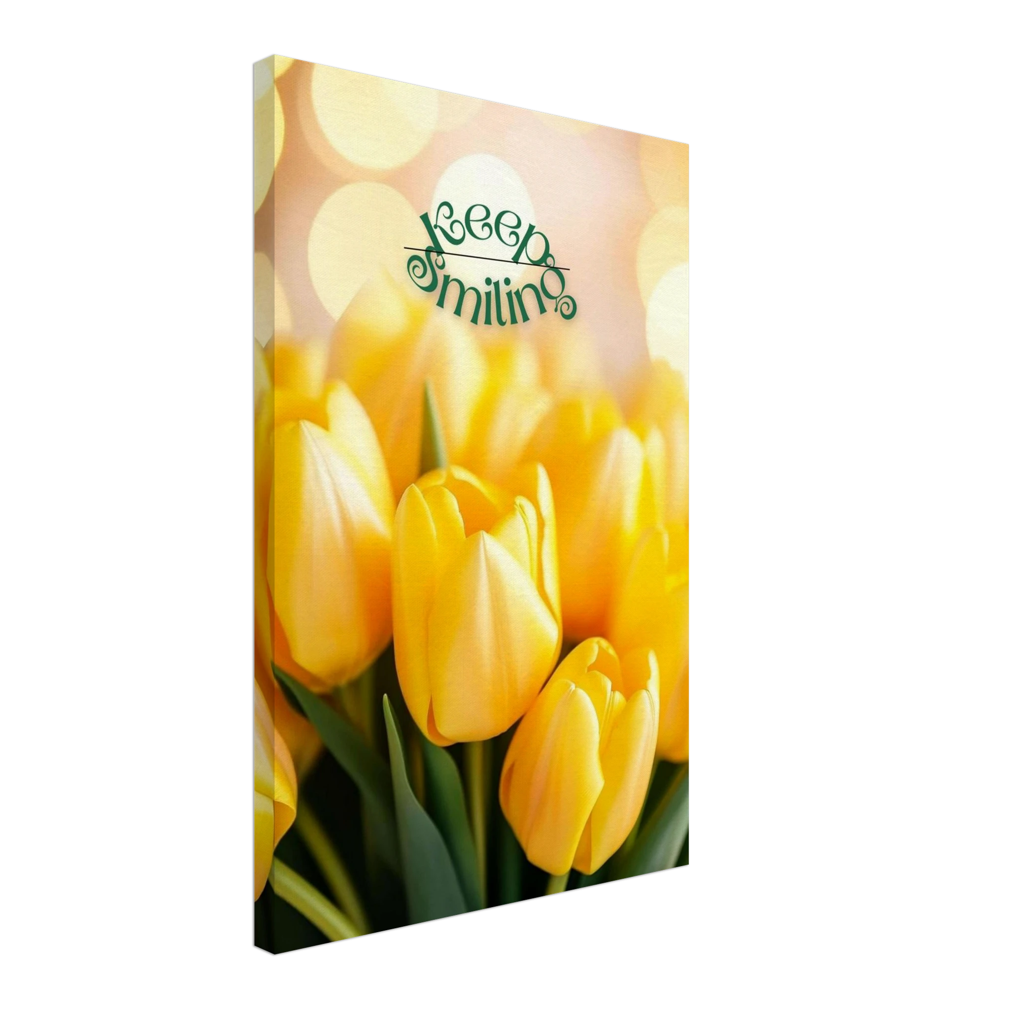 8b1de2f4-404f-49e0-a80d-ced6f7142c3a