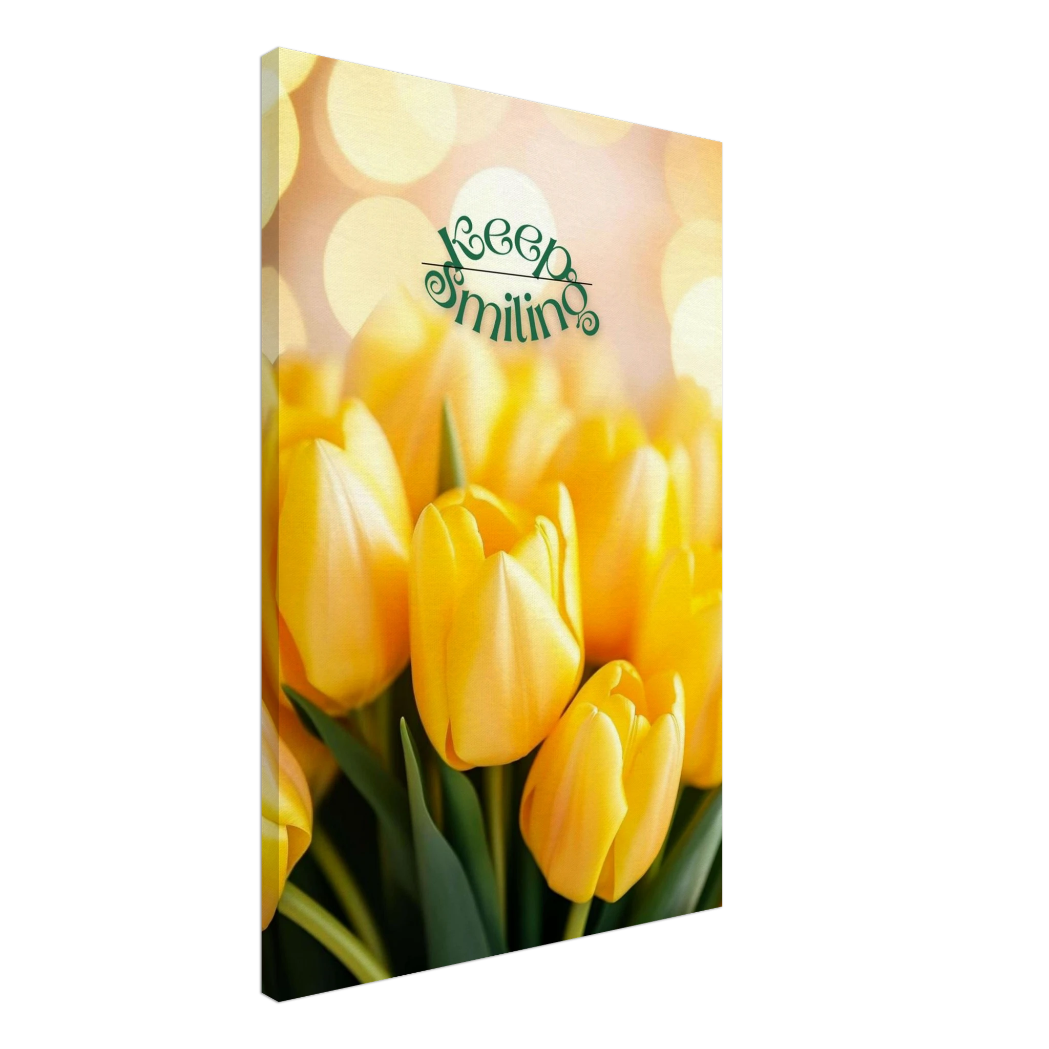 8f5cc9e3-2dca-4b92-bd25-053da1a4bba9