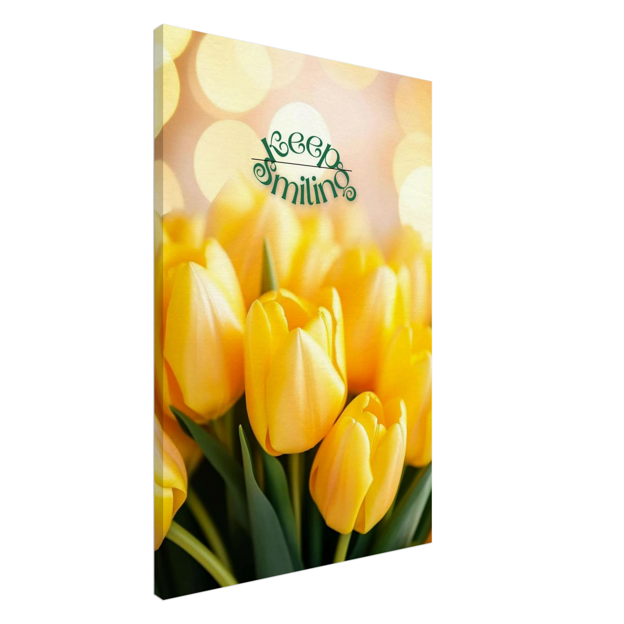 97003ac3-5ae6-4310-9d33-313d2e31ed5b